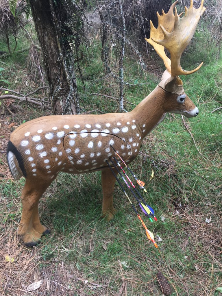 Where to practice with your bow in Auckland.